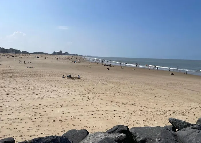 Gezellige 1 Slaapkamer, 3pers,strand,zee 50m